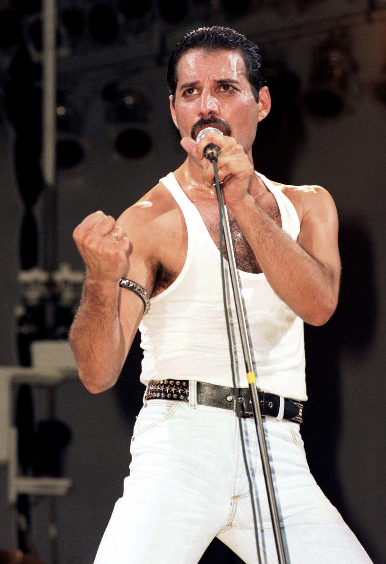 Freddie Mercury iPhone Wallpapers - Top Free Freddie Mercury iPhone ...