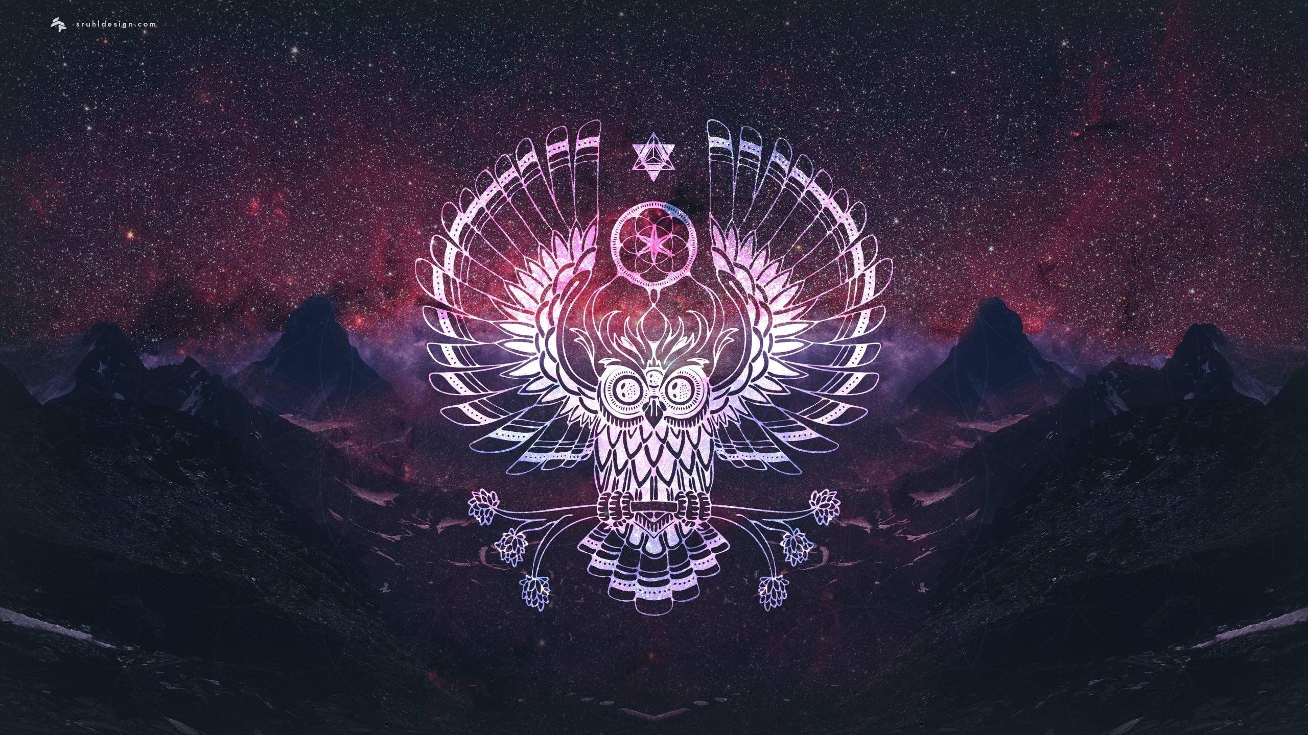 2560x1440 owl Wallpaper HD / Desktop and Mobile Background