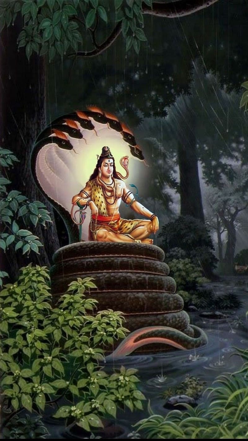 800x1422 Sivan Mass, Sitting On Sheshnag, Rainy Background, lord, mahadev, HD phone wallpaper
