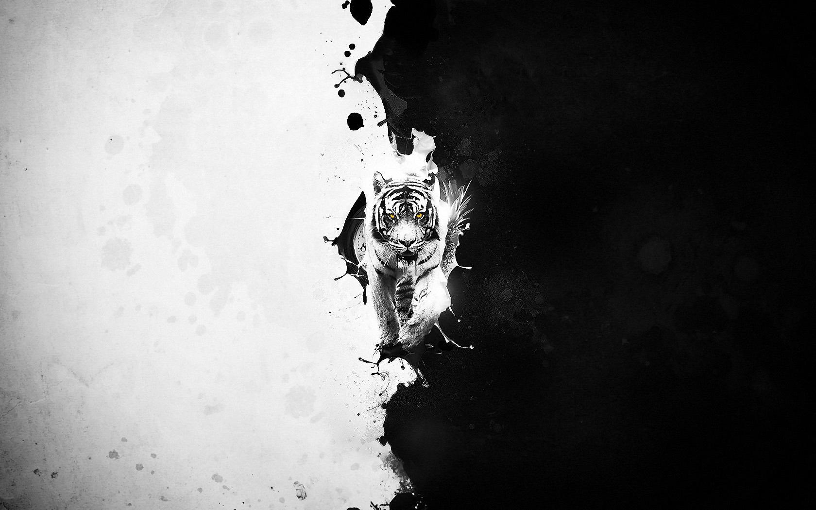 1680x1050 Black And White Tiger Wallpaper (1680x1050)