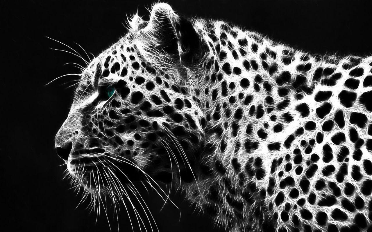 1280x800 White Tiger Wallpaper HD