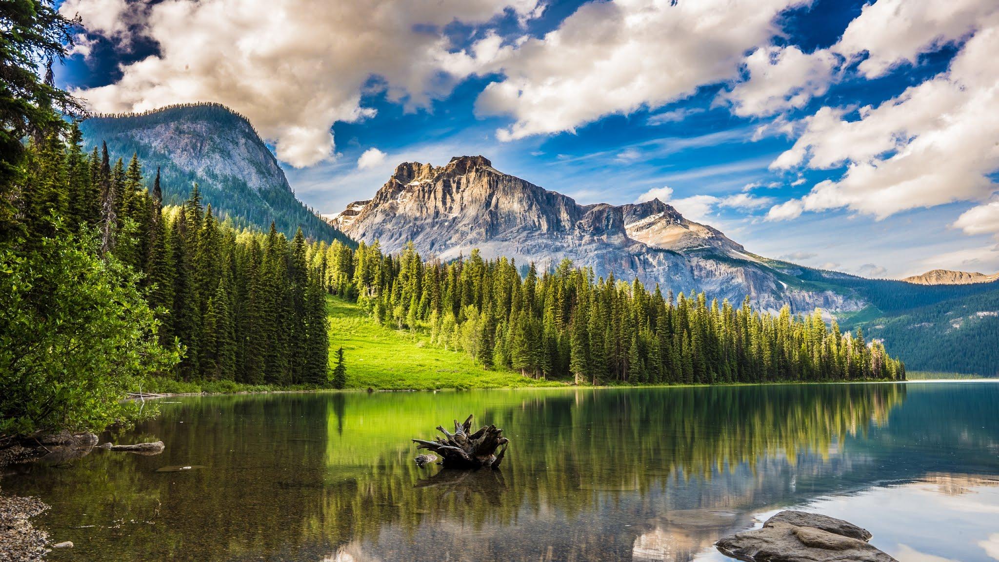 2048x1152 iPhone 8 Plus 4k Nature Wallpaper