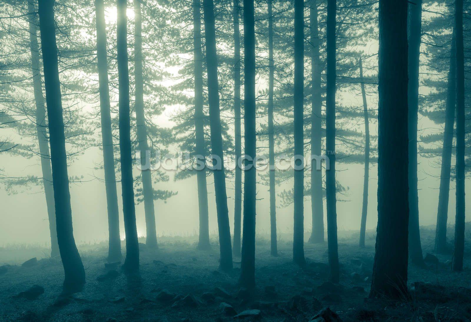 1600x1093 Foggy Forest Wallpaper Wall Mural