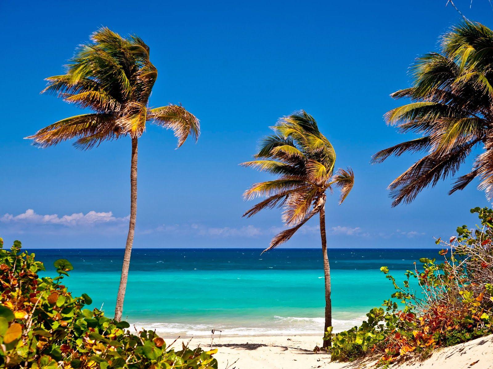 1600x1200 background image of Caribbean island cuba