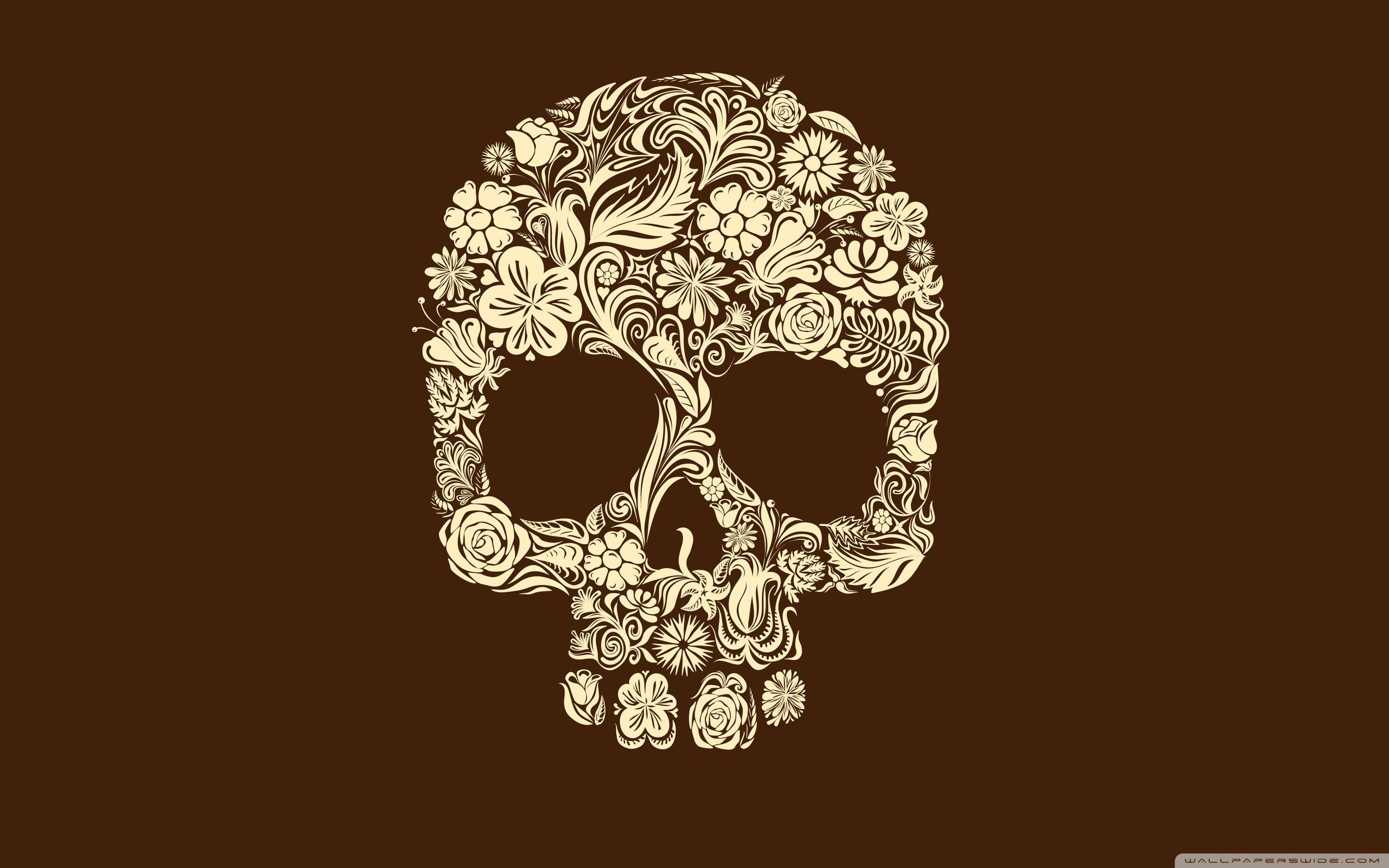 2560x1600 Skull Art Wallpaper