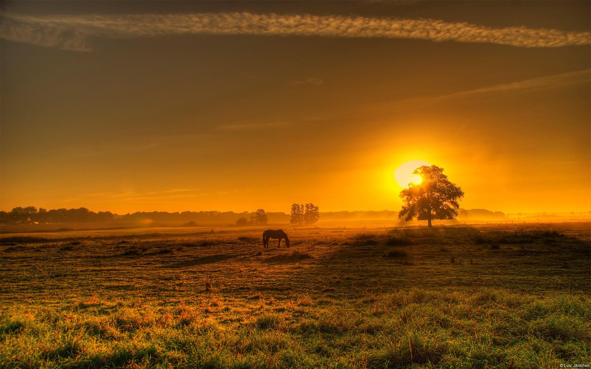 1920x1200 MX51 Countryside Adorable Desktop Wallpaper for Free+