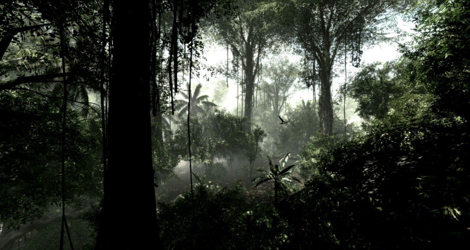 1520x810 Dark Rainforest Wallpaper