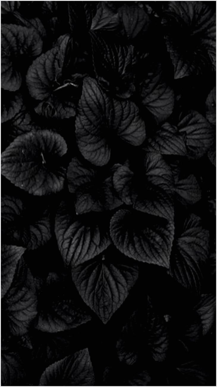 Black Leaves Wallpapers - Top Free Black Leaves Backgrounds