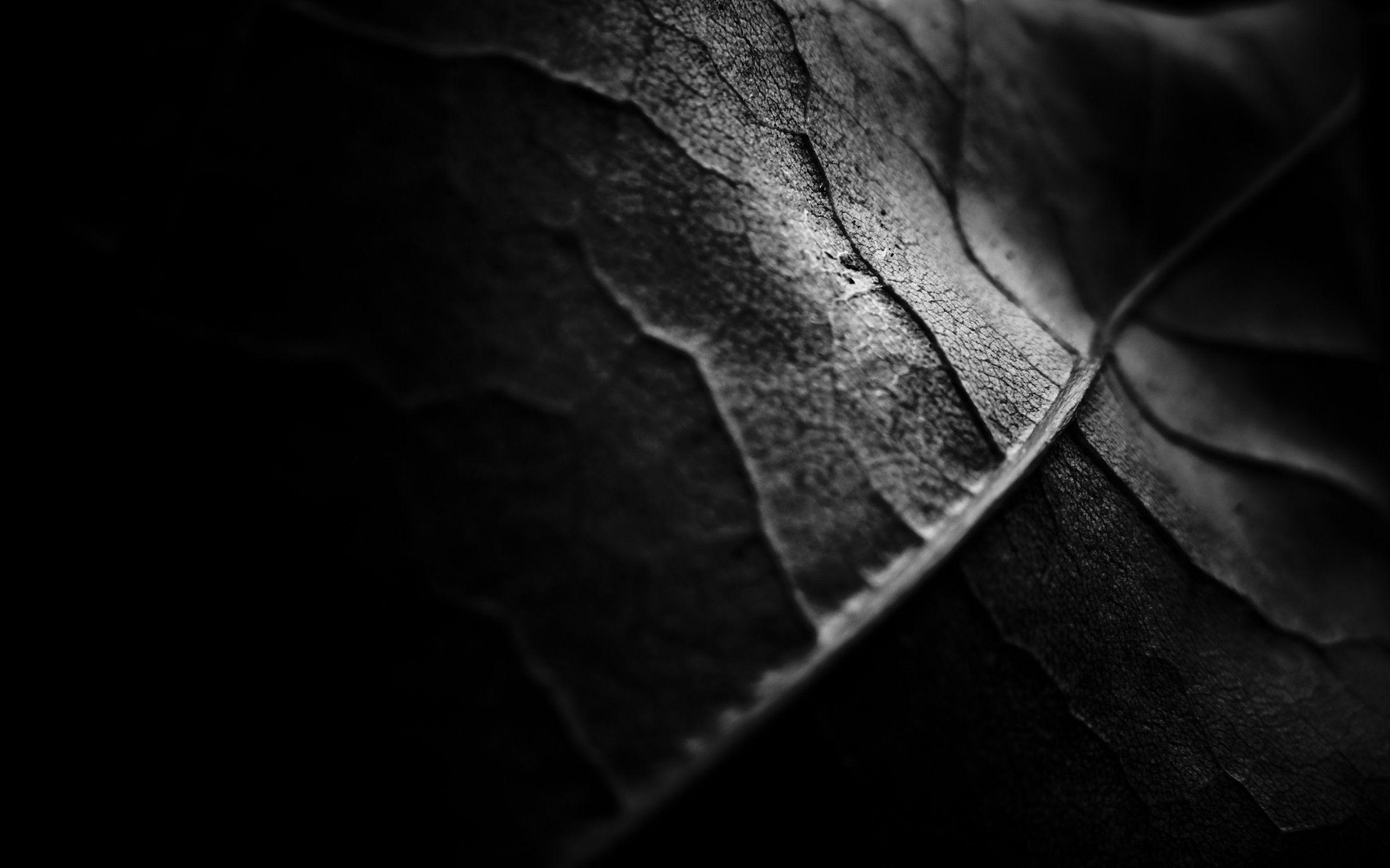 Black Leaves Wallpaper
