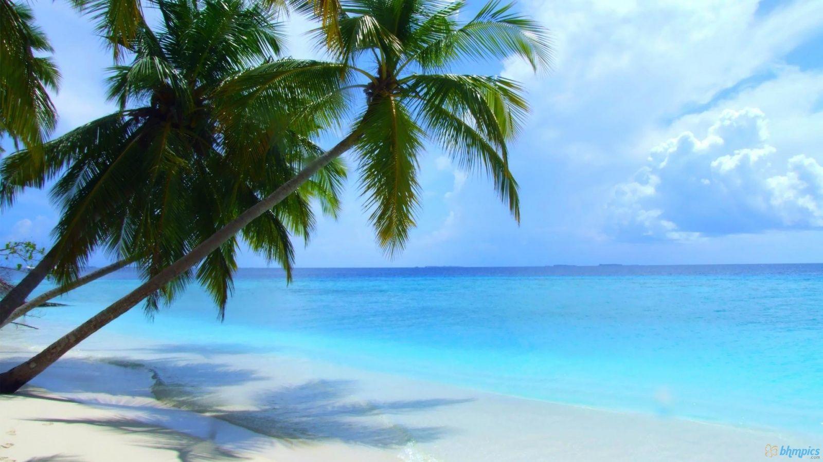 1600x900 Maldives. Beautiful beaches, Beach scenery, Most