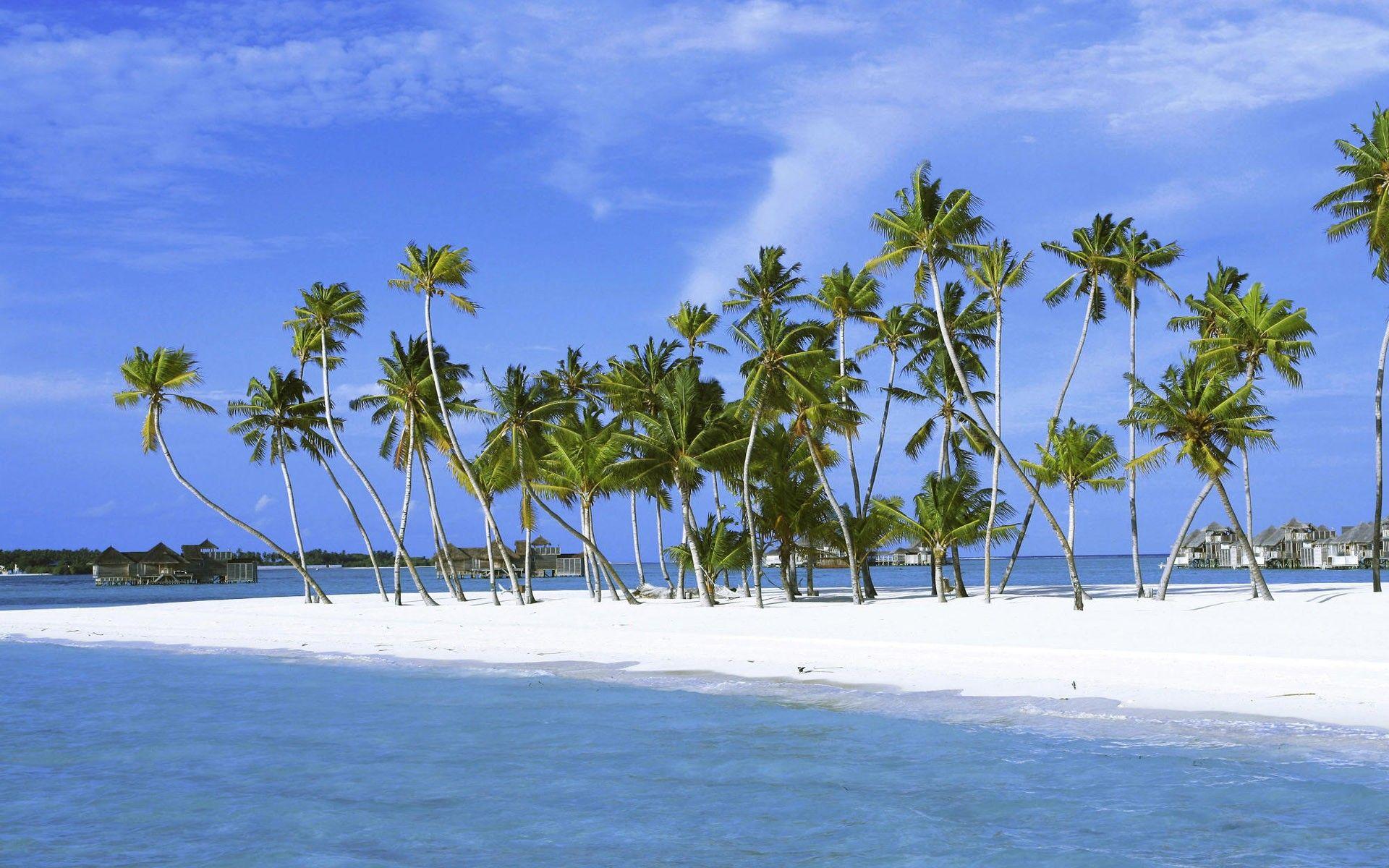 1920x1200 Landscape, wallpaper, mac, indian, maldives, ocean