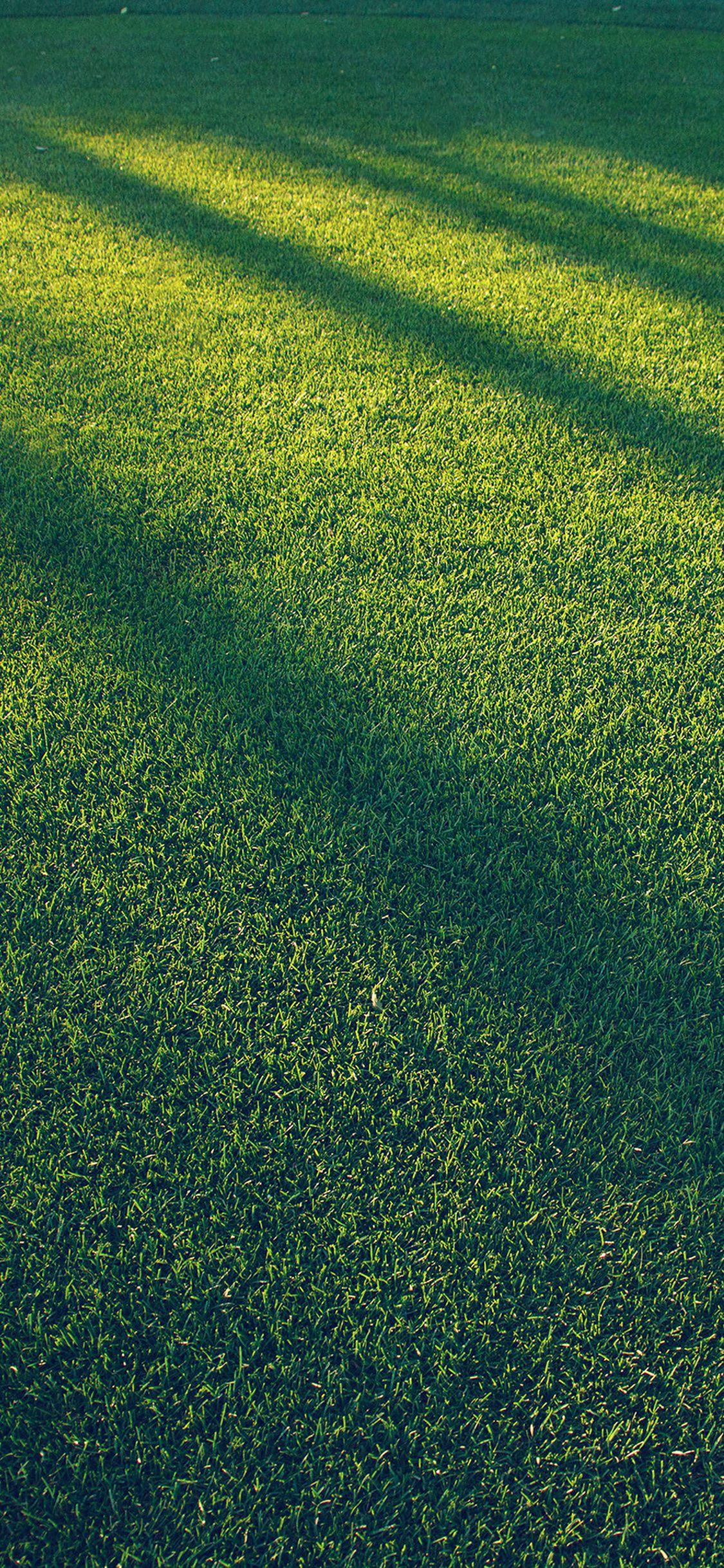 Grass Iphone Wallpapers Top Free Grass Iphone Backgrounds Wallpaperaccess 