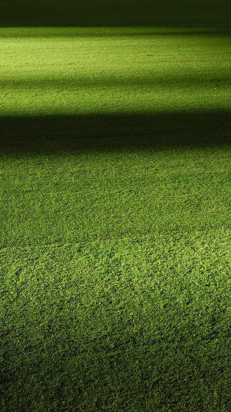 Grass iPhone Wallpapers Top Free Grass iPhone Backgrounds