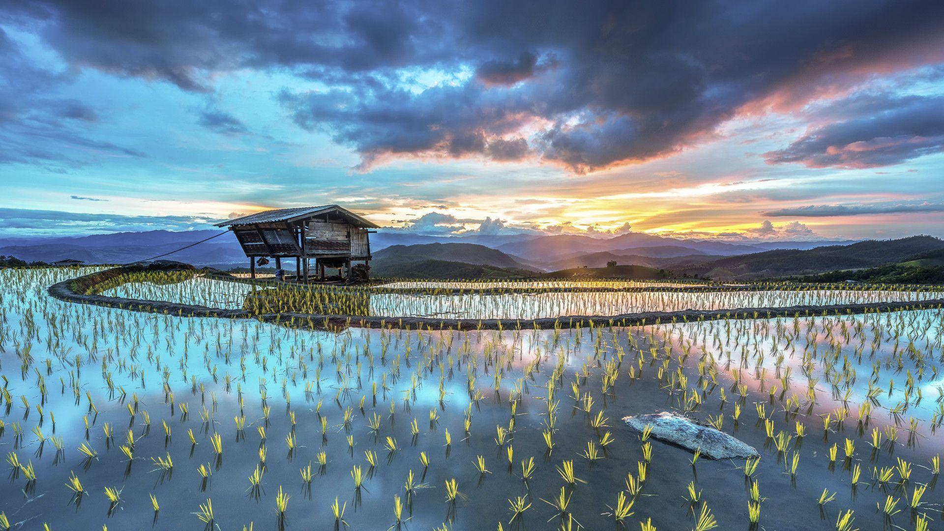1920x1080 windows 10 wallpaper microsoft windows 10 wallpaper