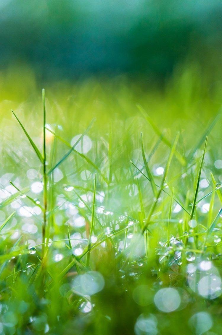 750x1134 Download free retina iphone wallpaper, Free iPhone HD wallpaper