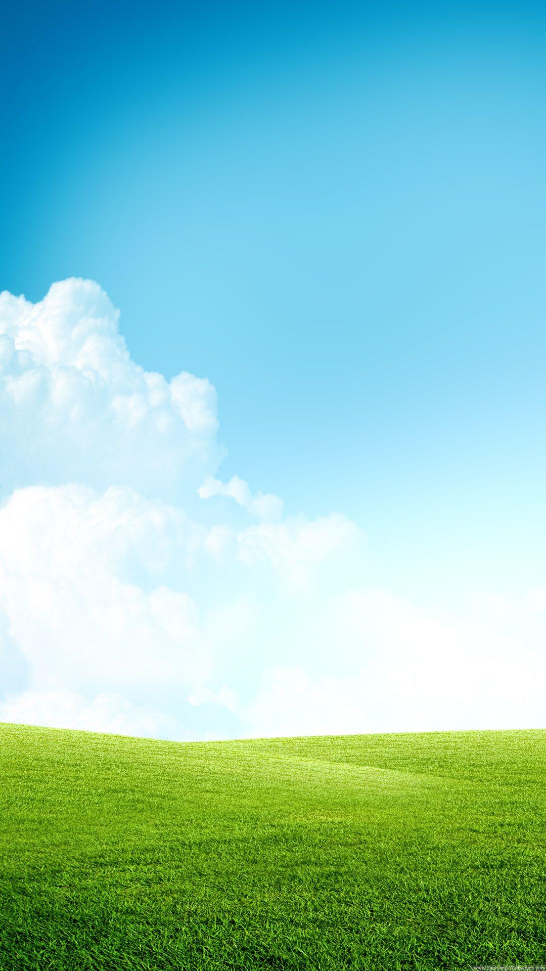1080x1920 Grass Field Blue Sky Clouds iPhone 6 Plus HD Wallpaper HD