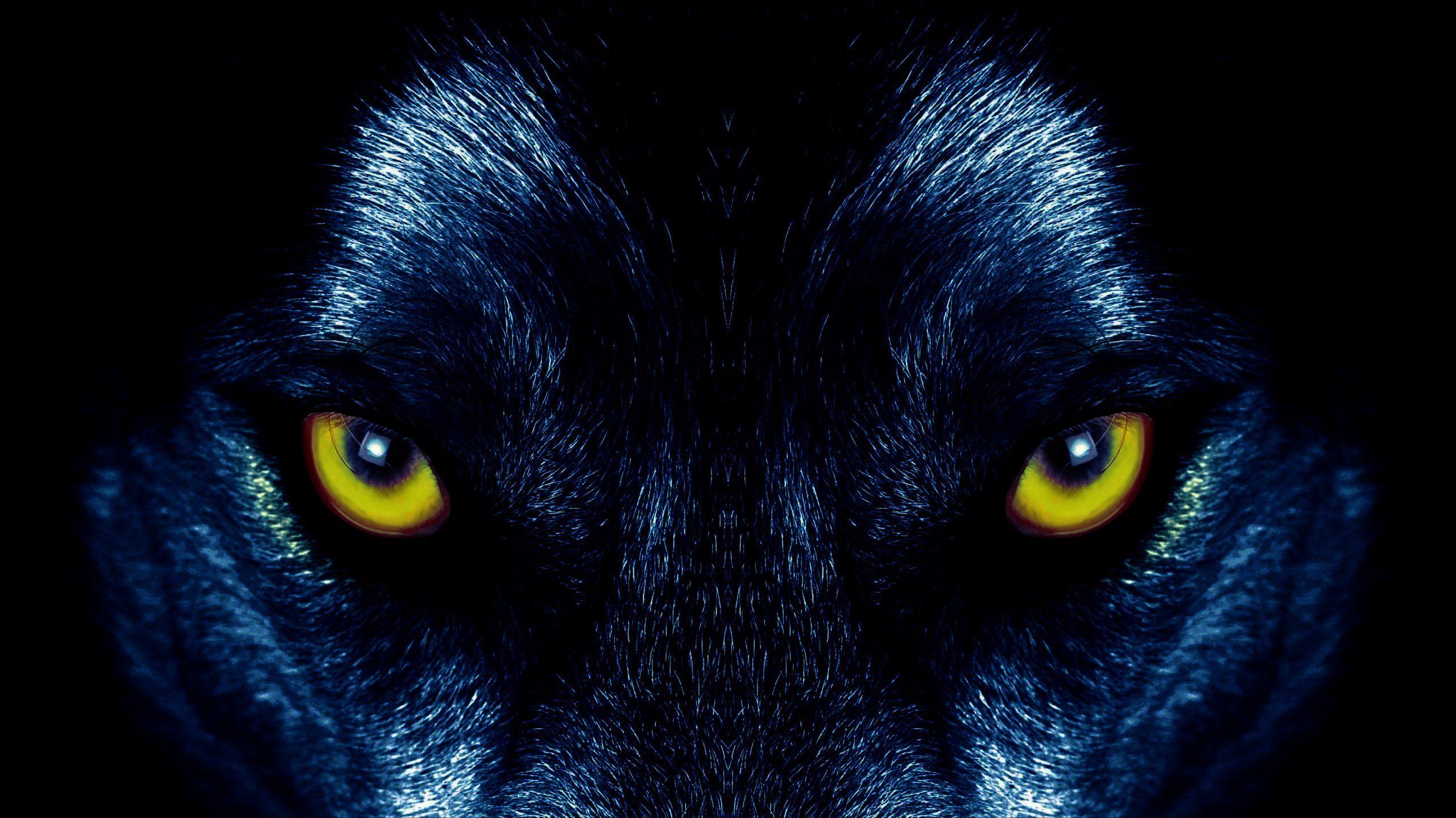 Black Wolf With Blue Eyes Wallpaper - bmp-moustache