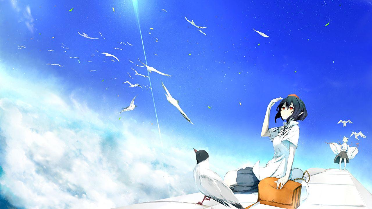 1280x720 Desktop Wallpaper Touhou Collection bird yugeoryouki shameimaru aya
