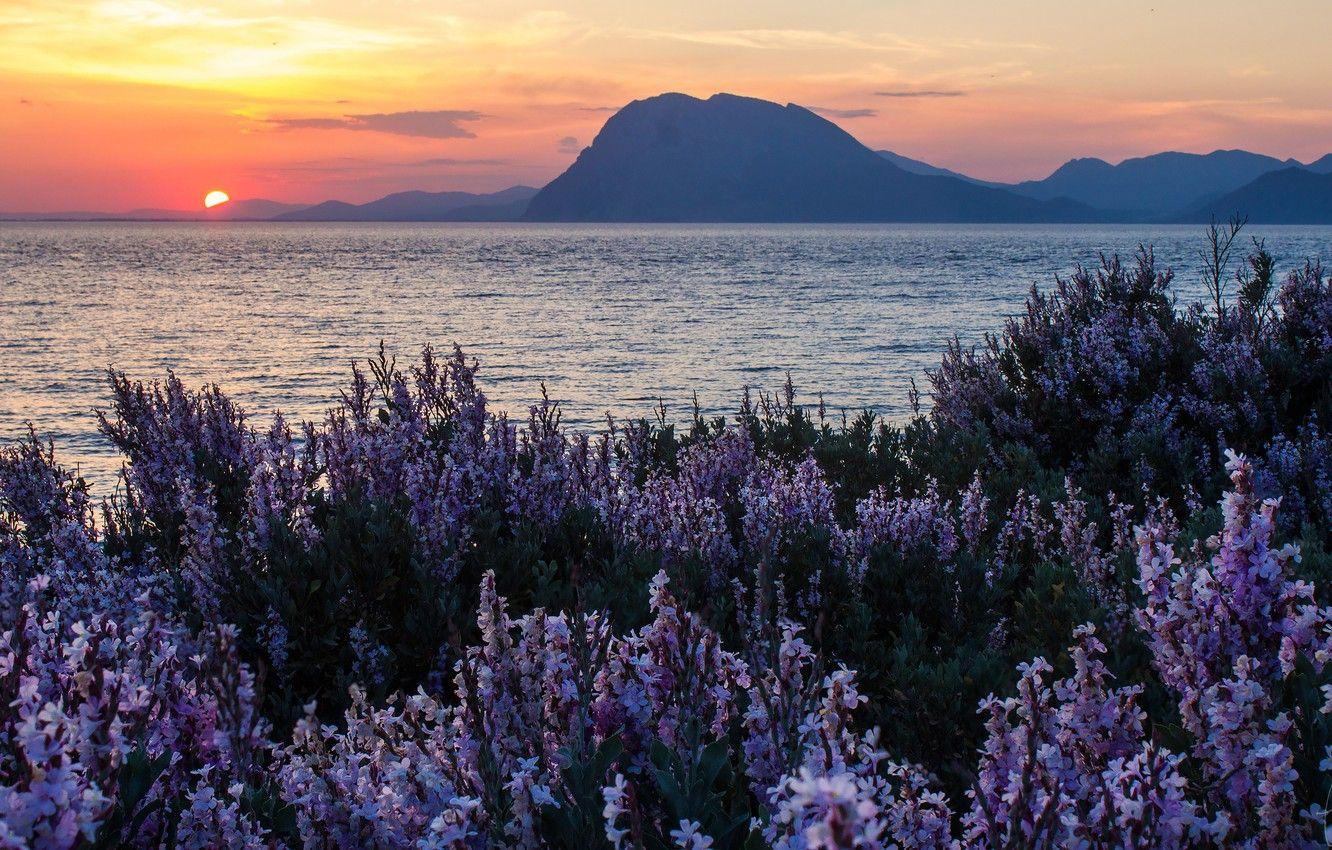 1332x850 Wallpaper sea, sunset, flowers, mountains, Greece, Greece, Ionian