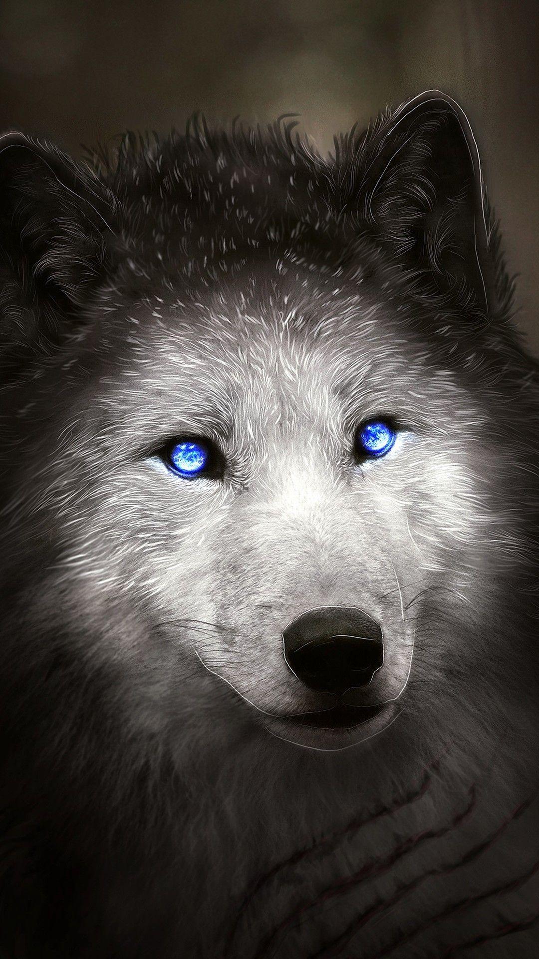 Black Wolf Dog With Blue Eyes