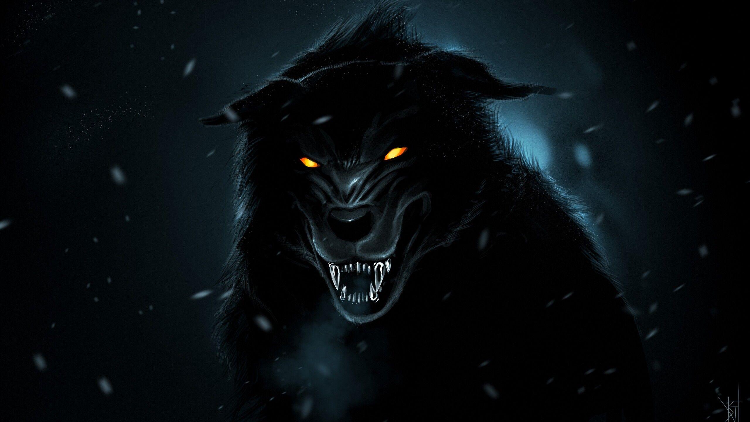 2560x1440 Wolf Orange Eyes 4k 1440P Resolution HD 4k Wallpaper