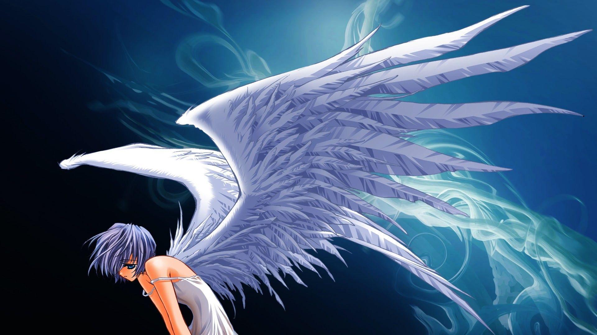 1920x1080 Angel Wings Collection See All #Wallpaper : #wallpaper #Other