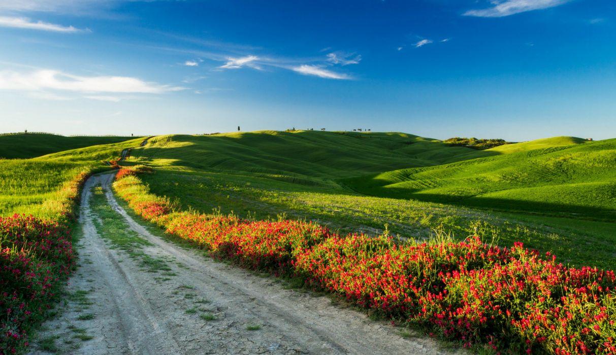 1213x700 Italy Scenery Field Road Tuscany Shrubs Nature wallpaper