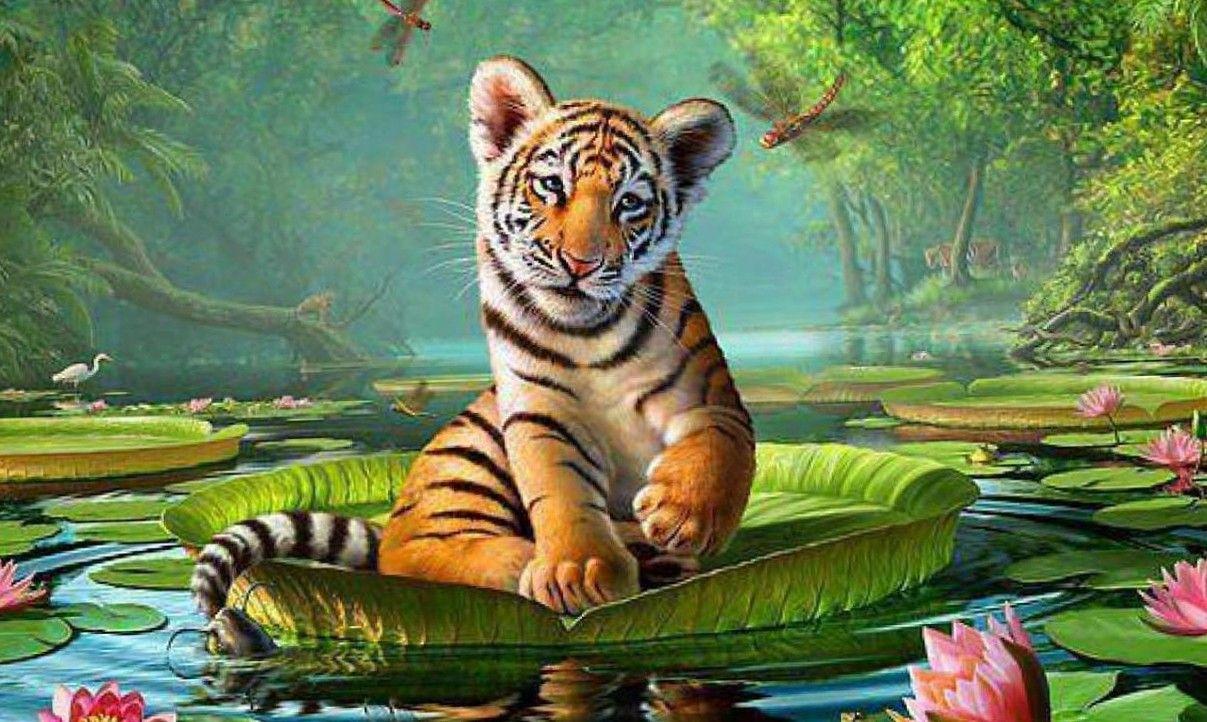 1207x722 Animal Wallpaper, Animal Planet, Desktop Image, Free Animal
