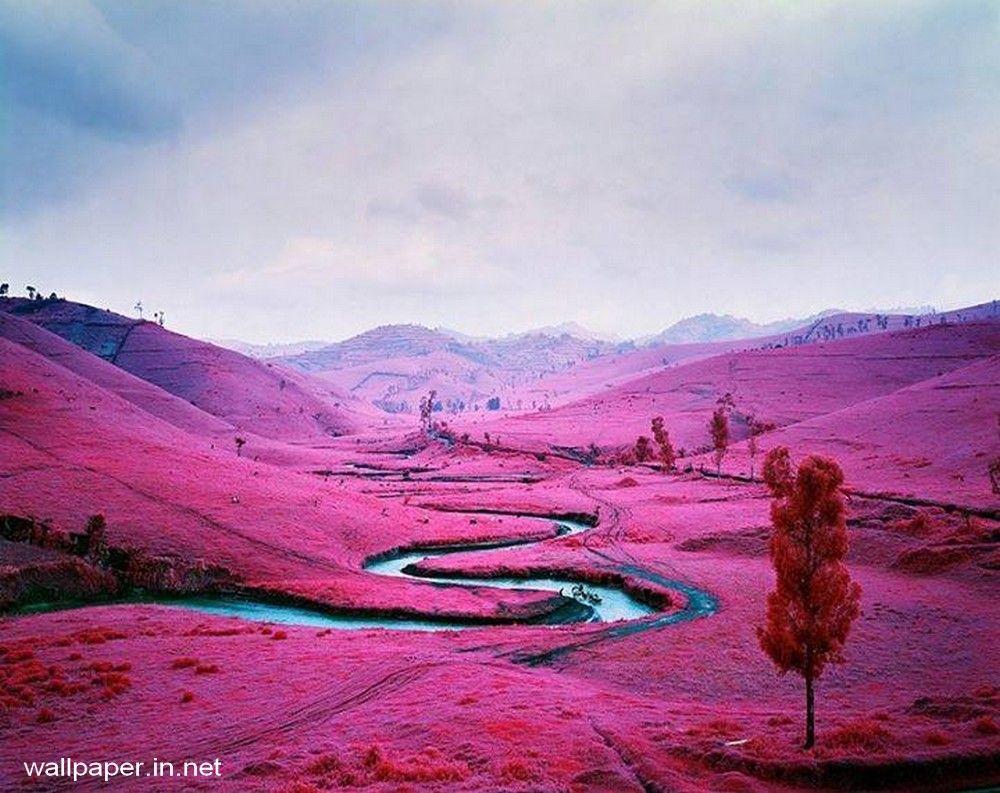 1000x793 Most beautiful beaches in the world