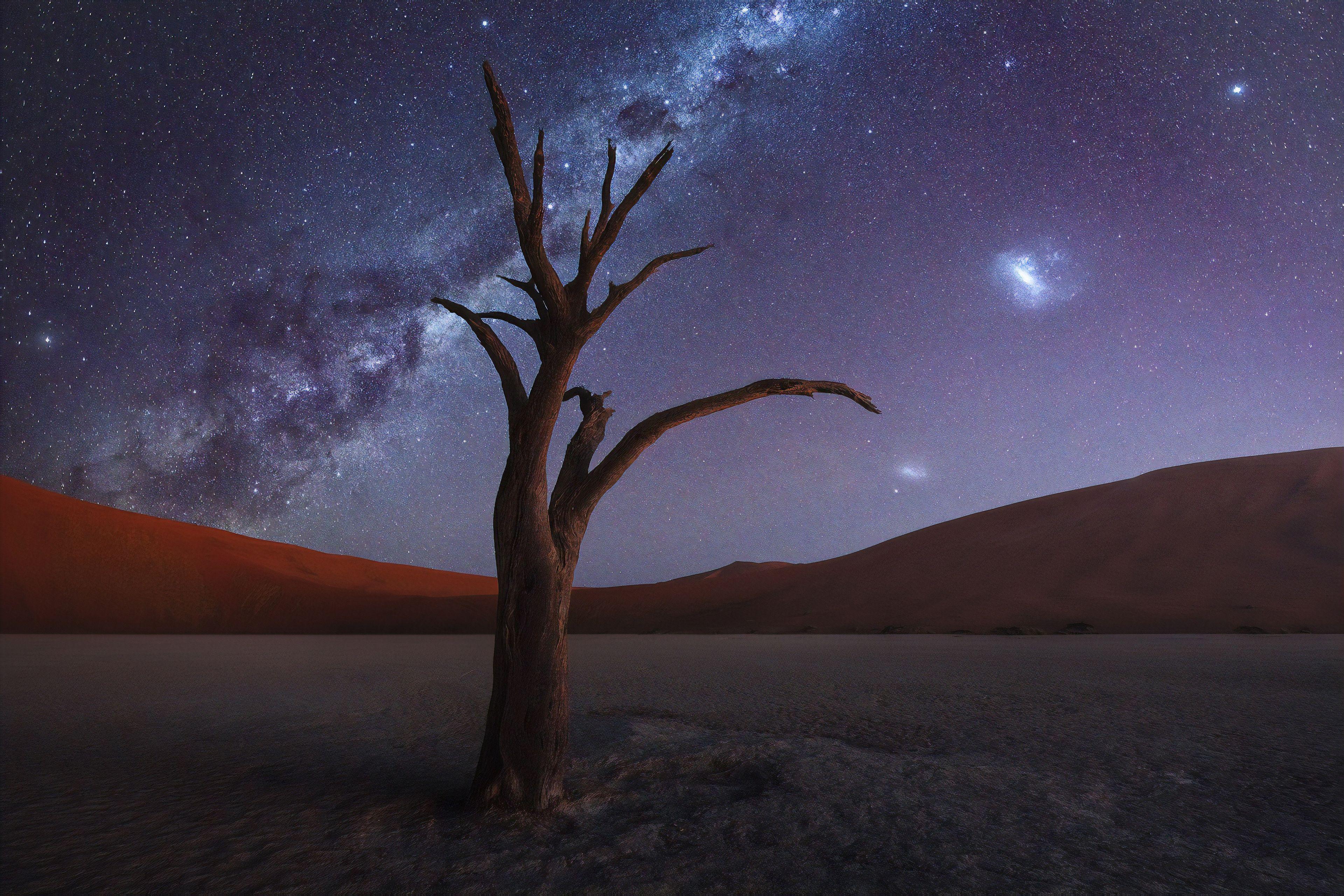 3840x2560 Tree Desert Milky Way 4k, HD Nature, 4k Wallpaper, Image, Background, Photo and Picture