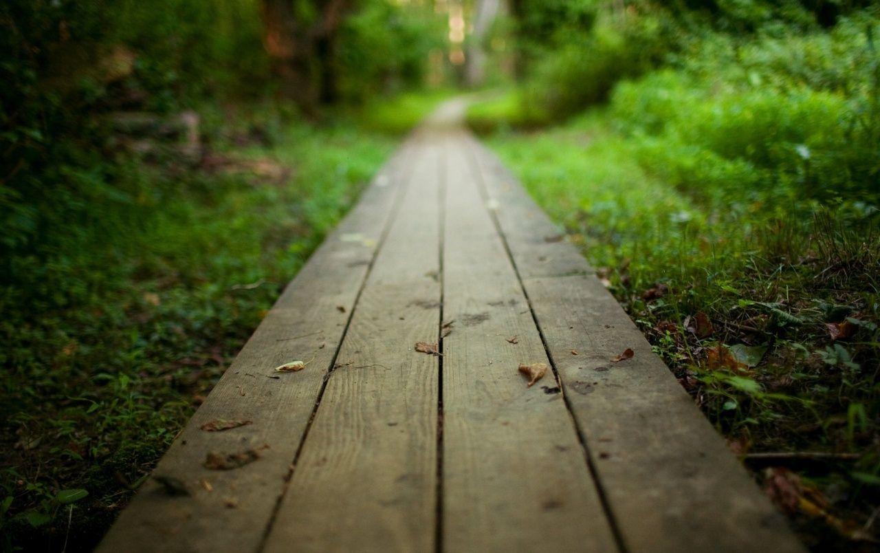 1280x804 On the way wallpaper. On the way