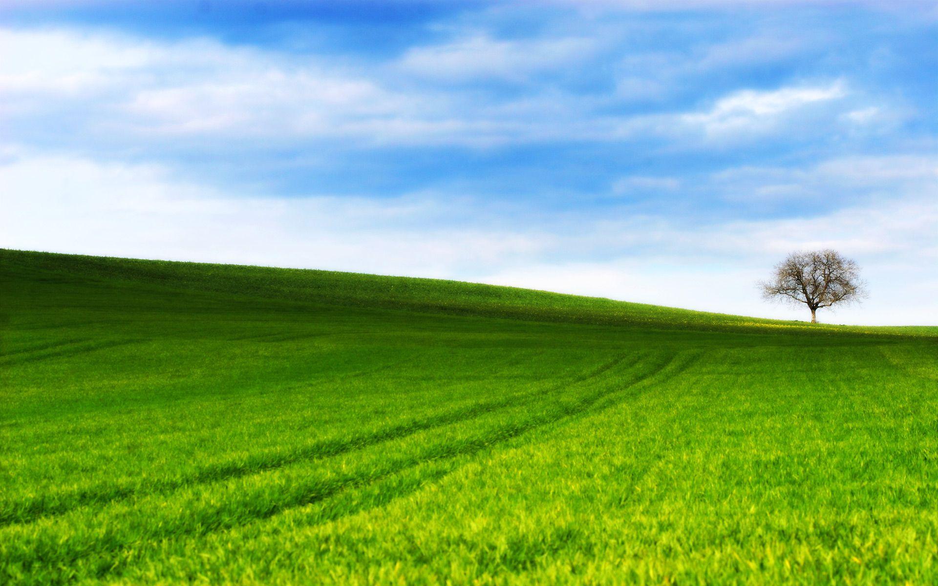 Grass Hill Wallpapers - Top Free Grass Hill Backgrounds - WallpaperAccess