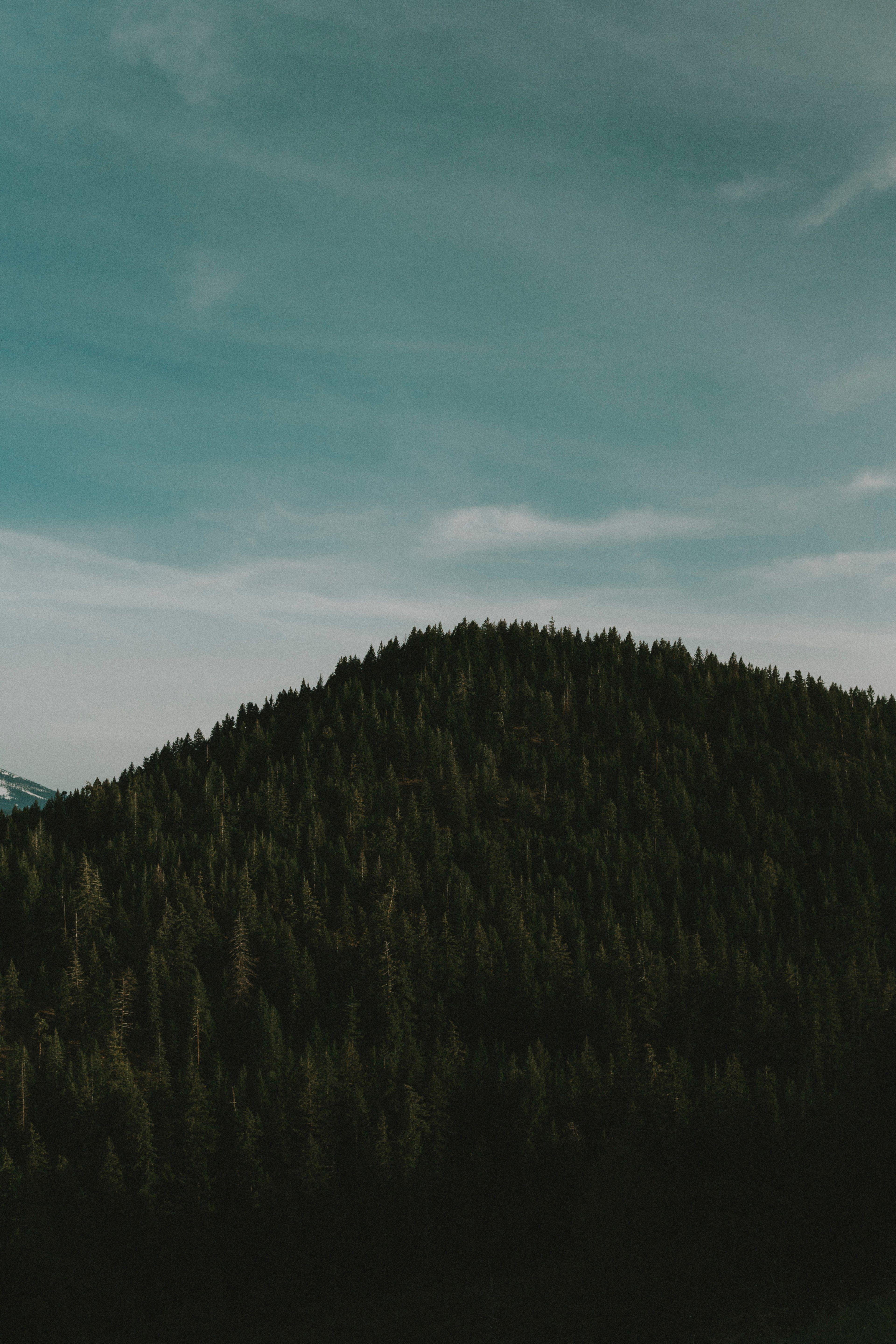 Hình nền núi đồi 3840x5760 và hình nền iphone Hình nền HD 4k https://wallpaperaccess.com/full/2960661.jpg