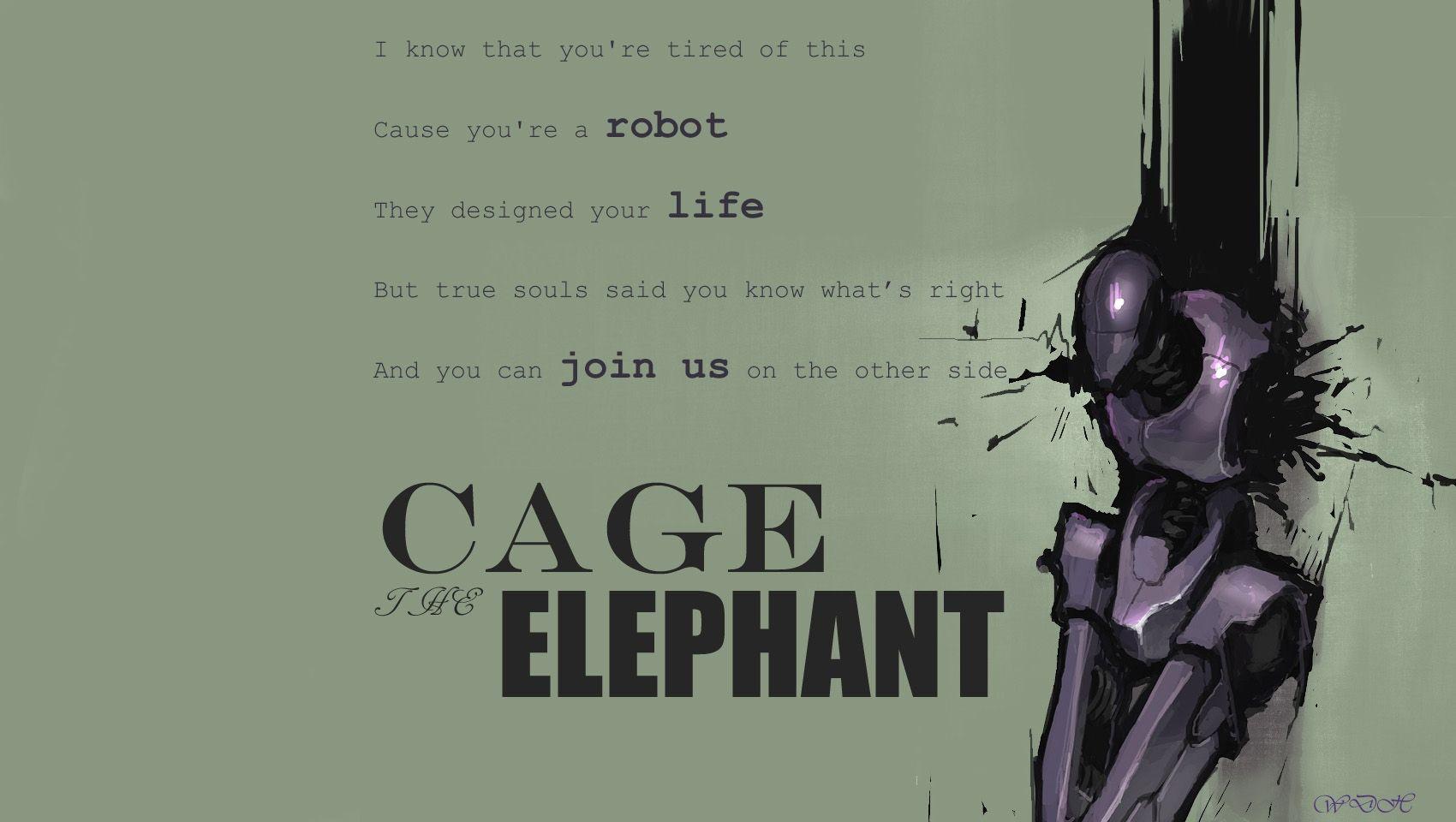 Cage the elephant HD wallpapers  Pxfuel
