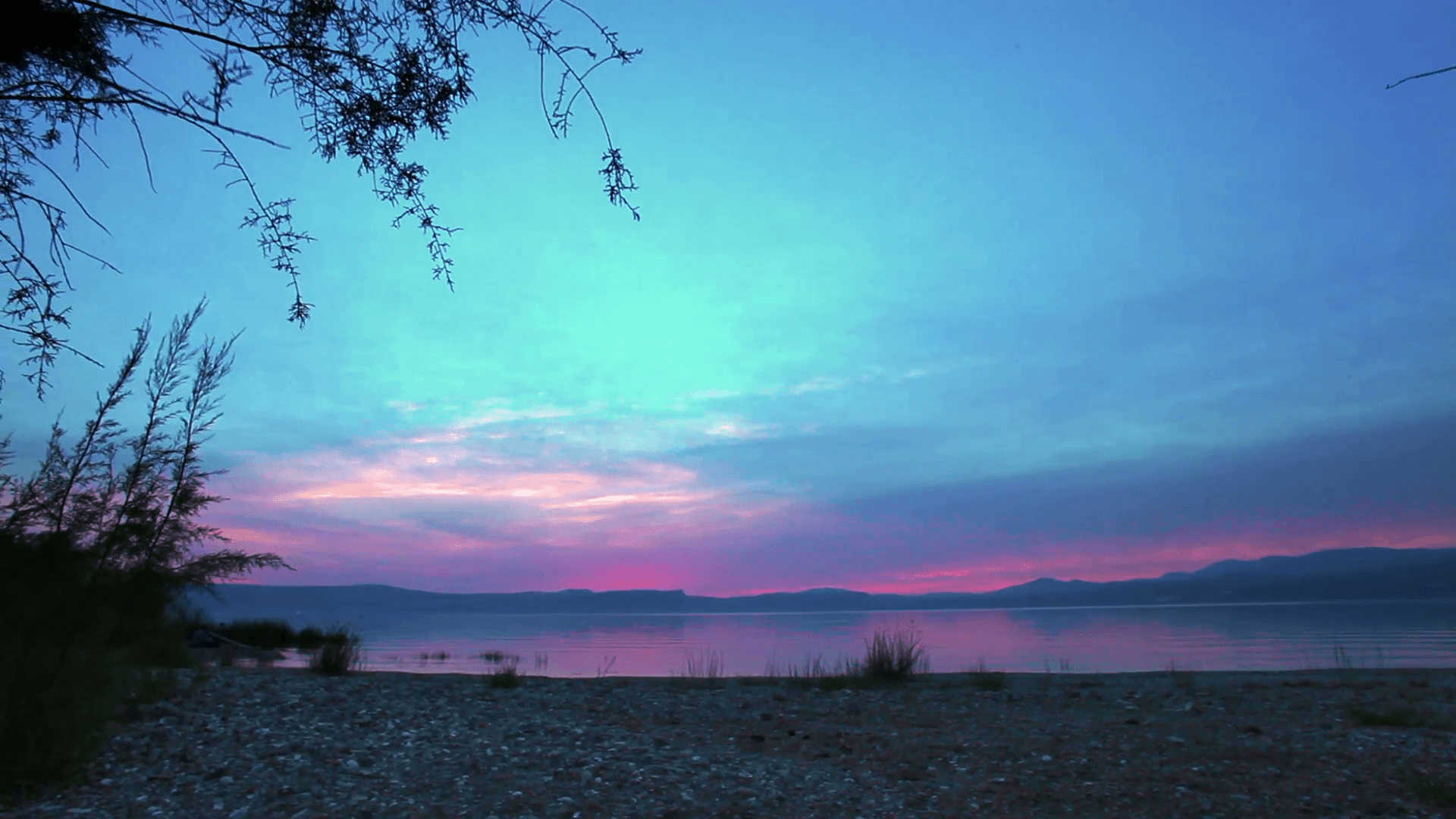 1920x1080 Sunset at Sea of Galilee with Tree Stock Video Footage