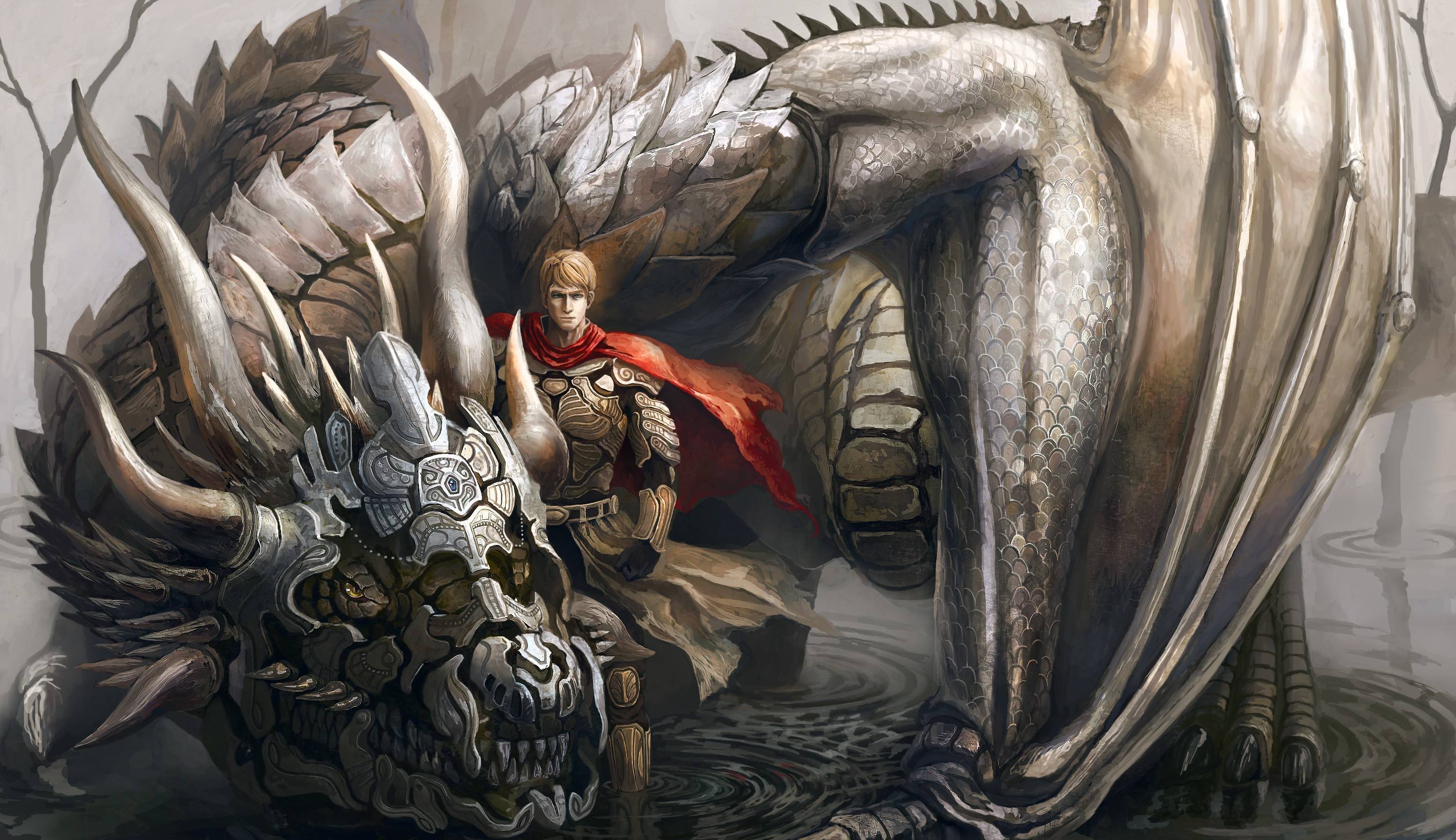 3000x1731 Dragon Warrior Wallpaper