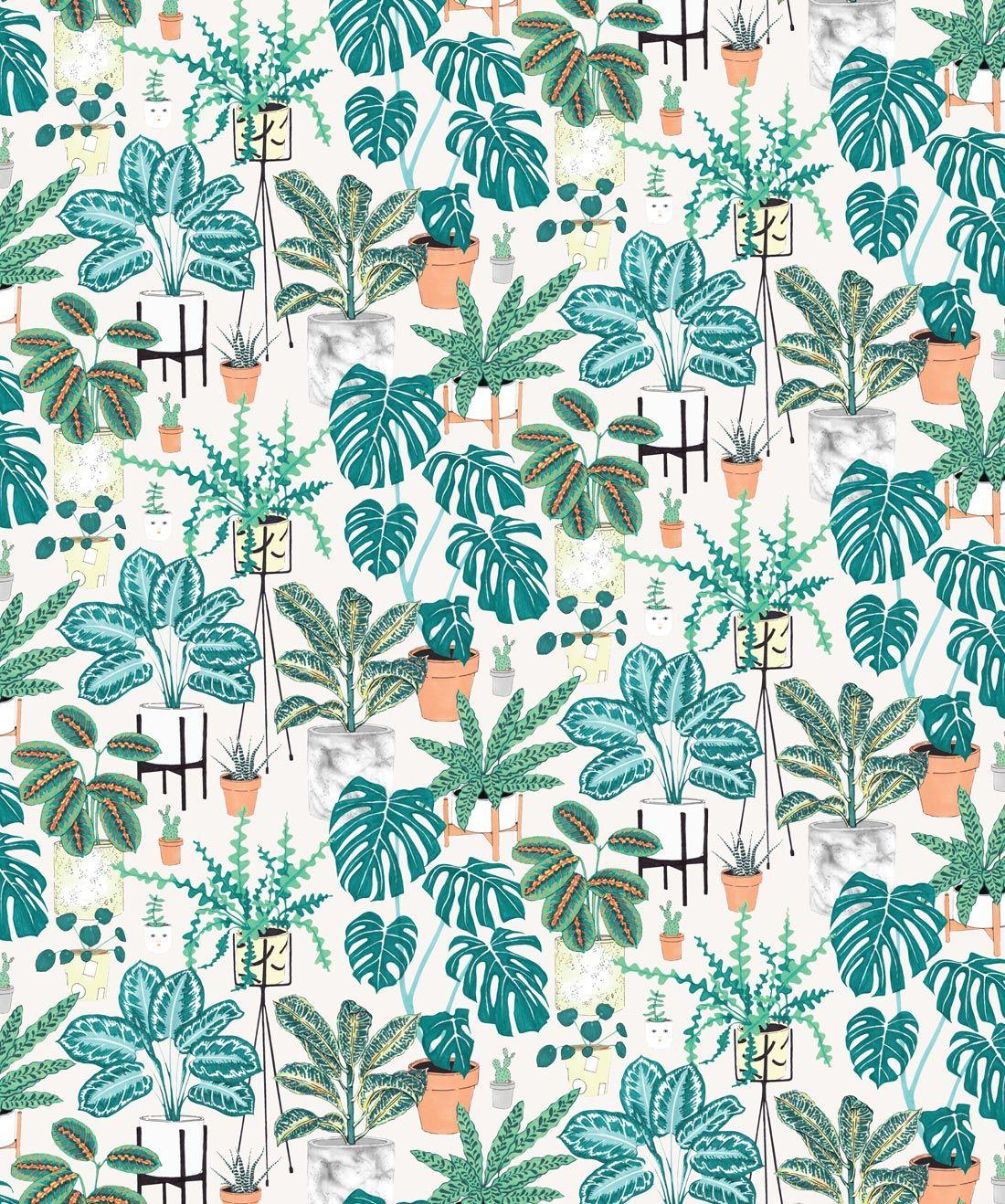 1100x1318 House Plants • Bright & Bold Botanical Wallpaper