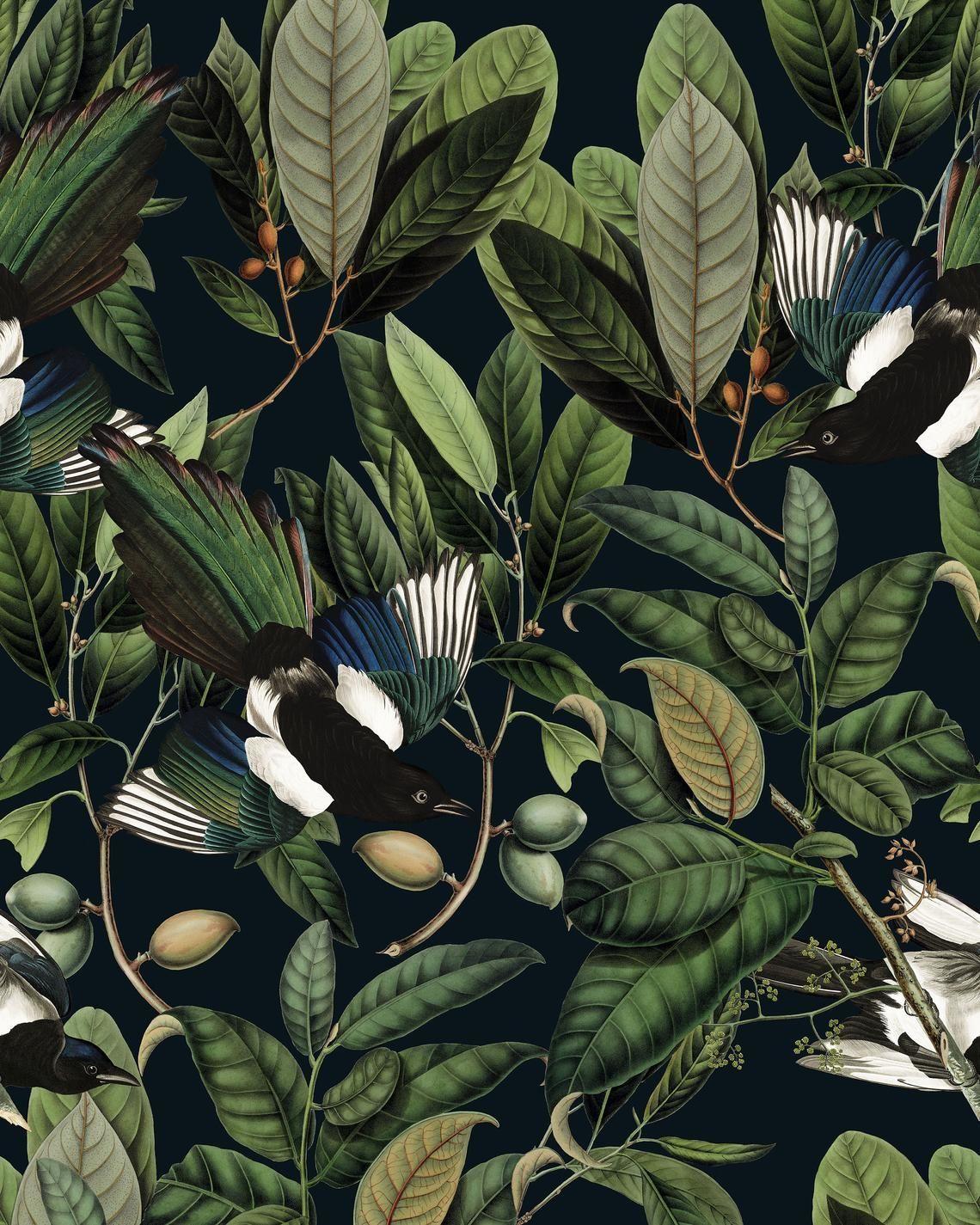 Botanical Wallpapers - Top Free Botanical Backgrounds - WallpaperAccess