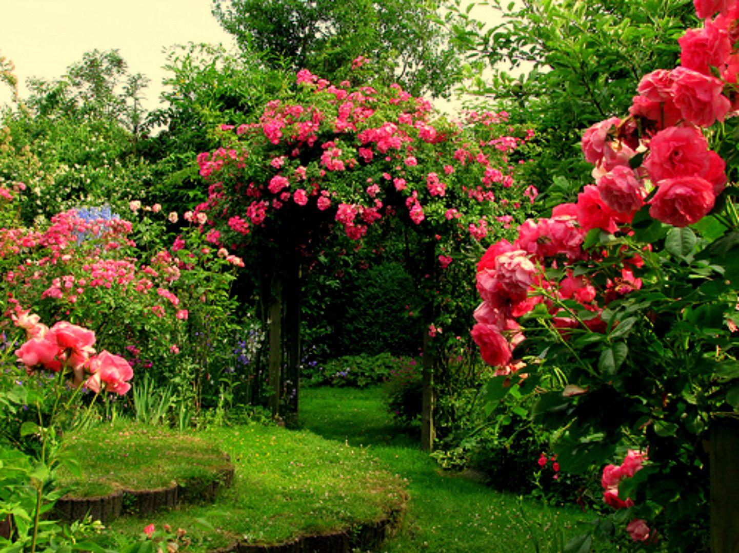 Rose Garden HD Wallpapers - Top Free Rose Garden HD Backgrounds -  WallpaperAccess