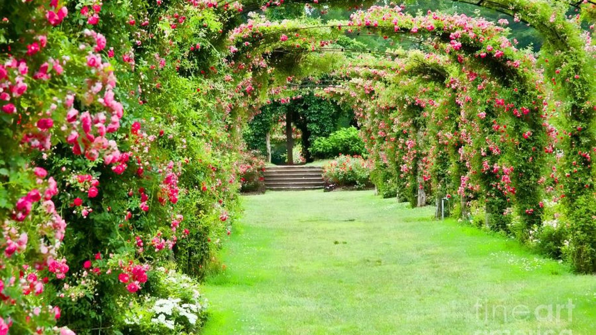 1920x1080 Free download ROSE GARDEN WALLPAPER 56142 HD Wallpaper