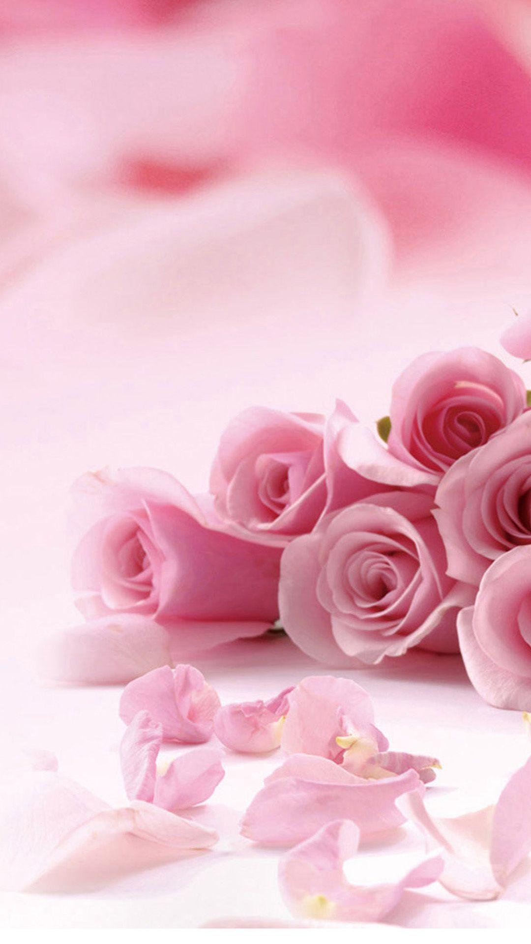 Hình nền 1080x1920 với hoa hồng và cánh hoa hồng cho iPhone - Hoa hồng