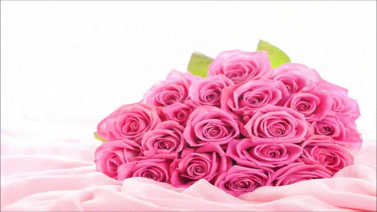 Hình nền HD 1280x720 Special Pink Rose