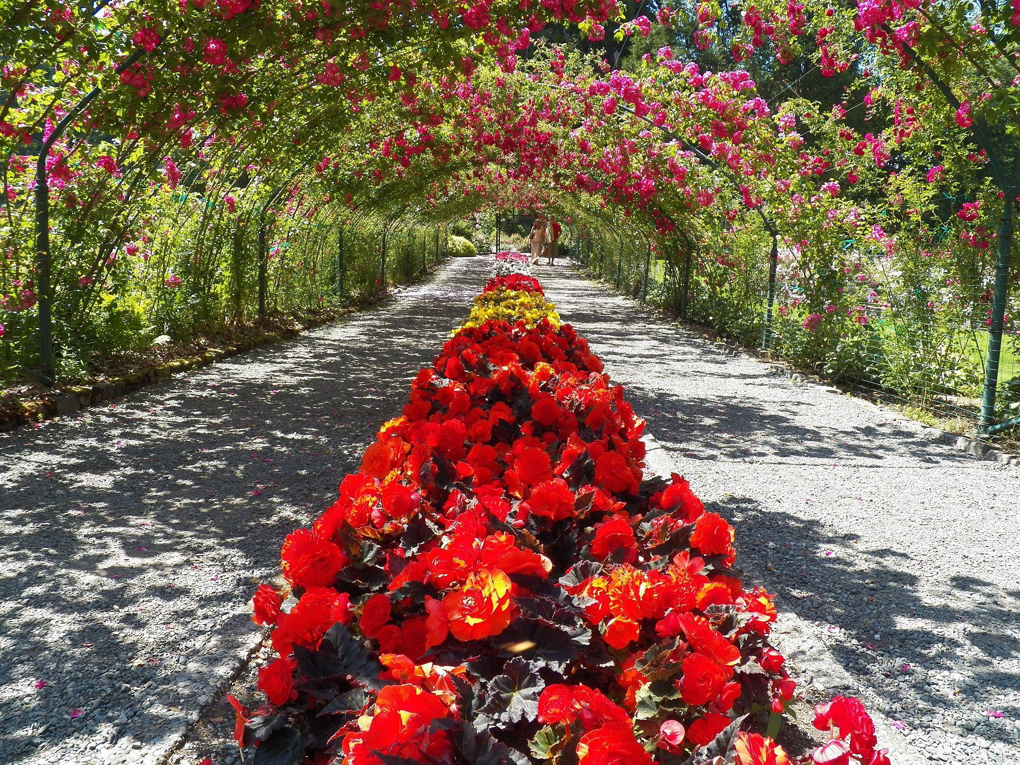 2000x1500 Summer Gardens Bursting with Blooms