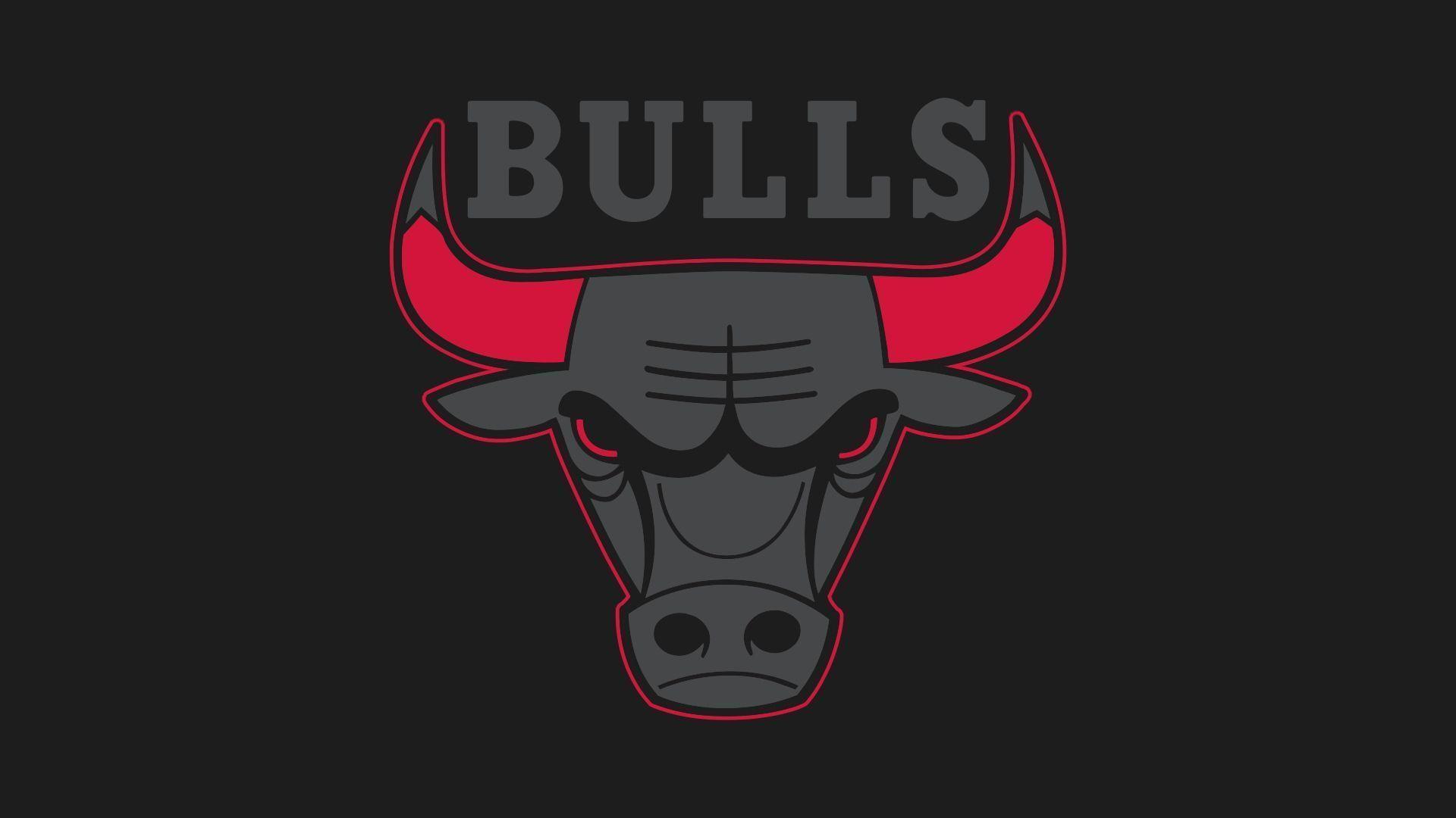 1920x1080 Bulls Wallpaper