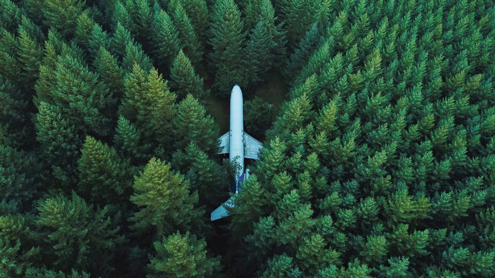 1920x1080 Nature Desktop Wallpaper Download