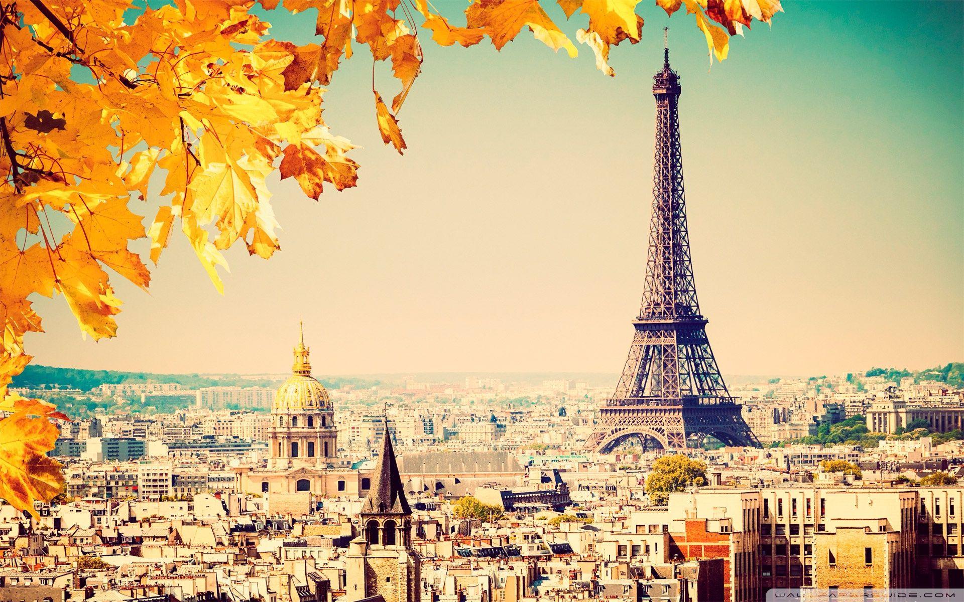Thủ đô ánh sáng Paris, khi mùa thu tới, được trải dài trên các con đường, công viên, sông Seine và tòa nhà lịch sử. Hãy bấm vào hình ảnh và khám phá cảnh quan tuyệt đẹp này.
