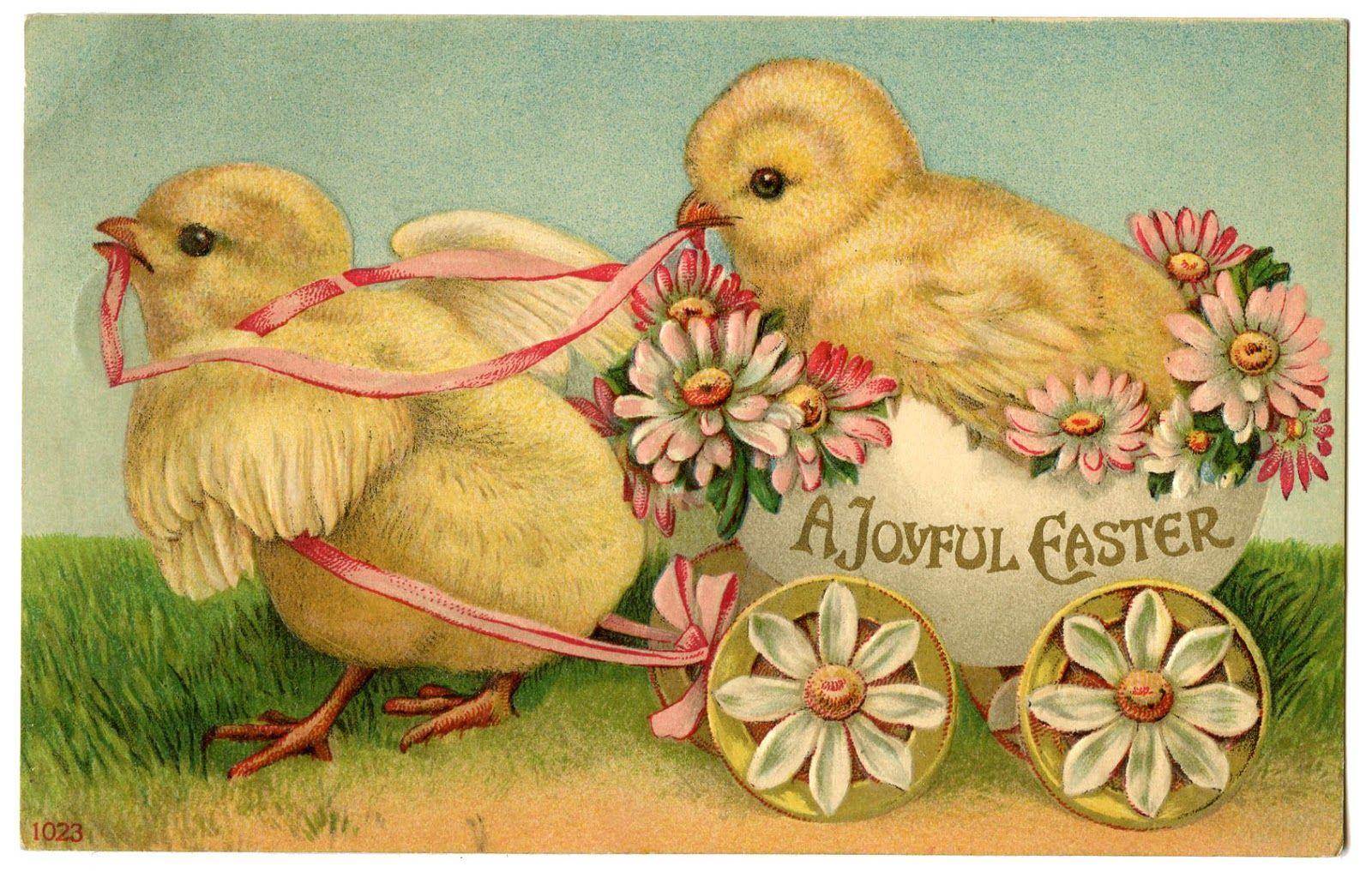 1600x1017 Stock Image Chicks in Egg Cart Graphics Fairy