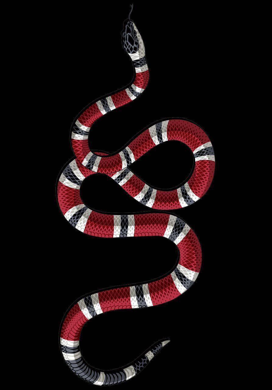 894x1280 Wallpaper Apple Watch