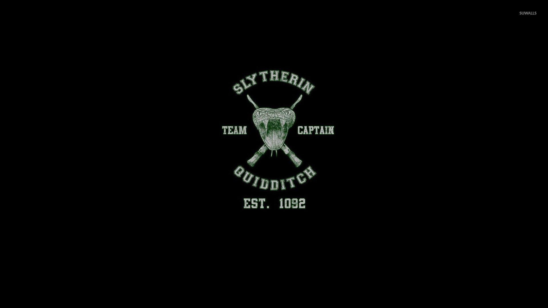 1920x1080 Free download Slytherin Quidditch team Harry Potter wallpaper