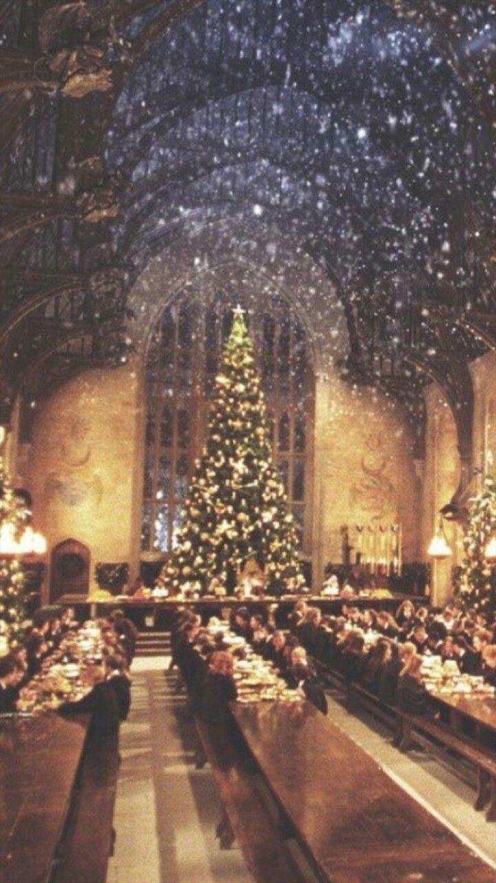 720x1280 harry potter//fantastic beasts. Harry potter wallpaper, Wallpaper iphone christmas, Harry potter iphone wallpaper